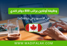 وظيفة أونلاين براتب 800 دولار كندي