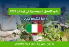 عقود العمل الموسمية في إيطاليا 2025