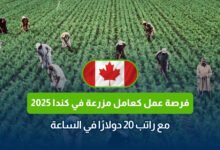 فرصة عمل كعامل مزرعة في كندا 2025 مع راتب 20 دولارًا في الساعة
