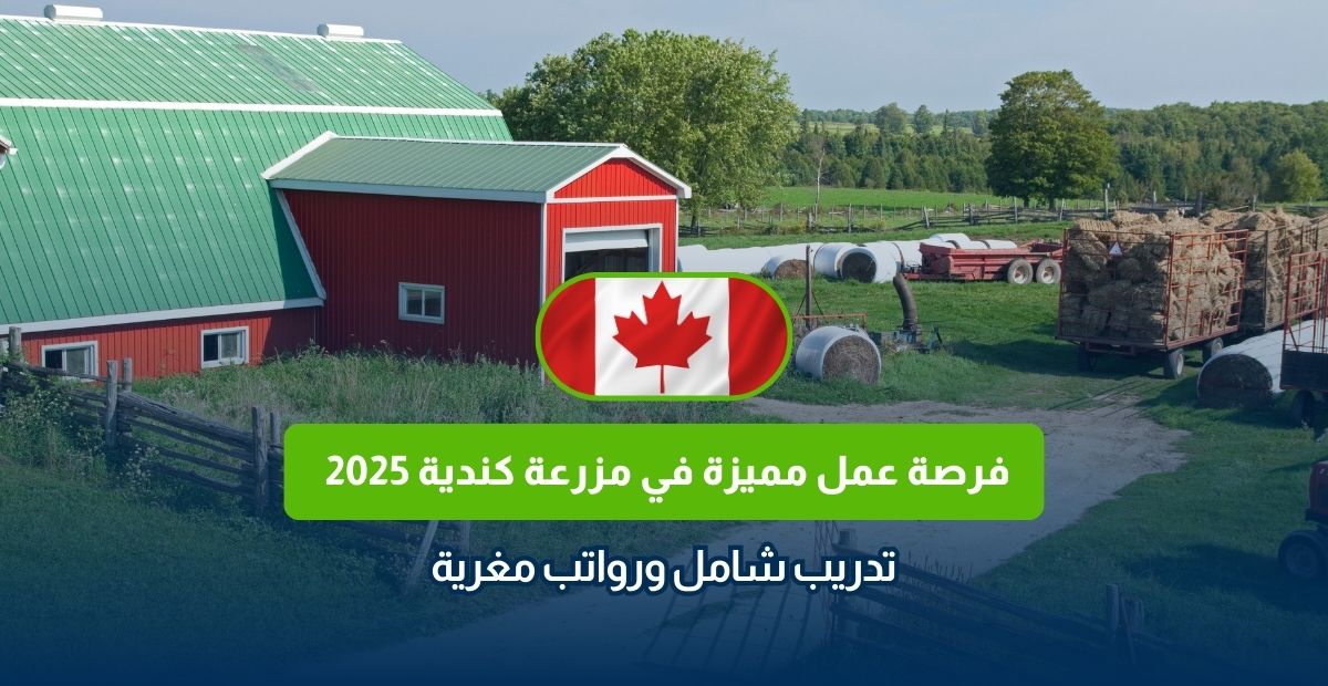 فرص عمل في كندا، وظائف زراعية في كندا، العمل في كندا 2025، وظائف المزارع الكندية، تقديم على وظائف كندا، وظائف في كندا بدون خبرة