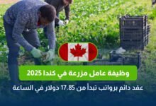 وظيفة عامل مزرعة في كندا 2025