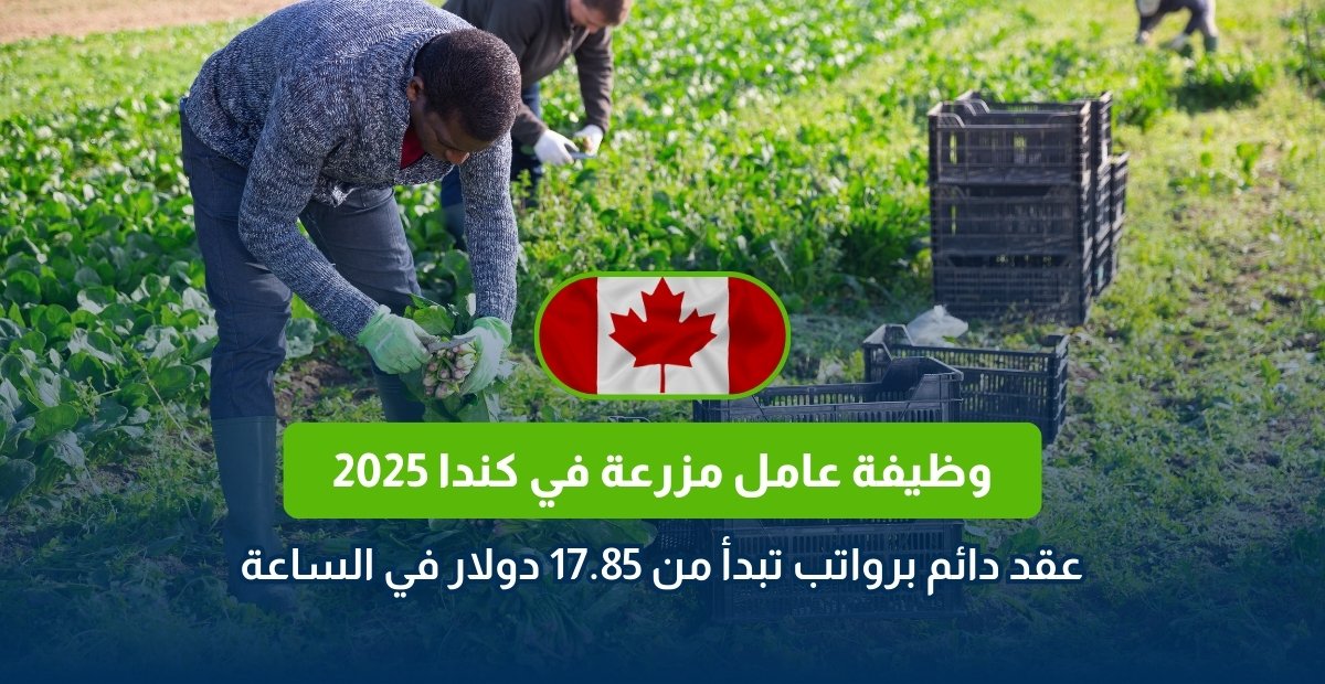 وظيفة عامل مزرعة في كندا 2025