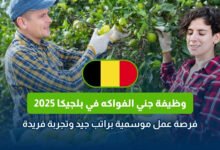 وظيفة جني الفواكه في بلجيكا 2025