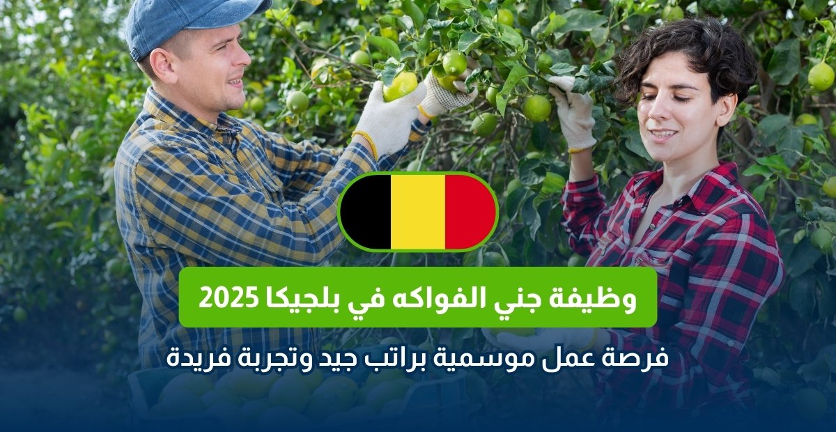 وظيفة جني الفواكه في بلجيكا 2025