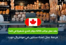 عقد عمل براتب 4250 دولار كندي في كندا