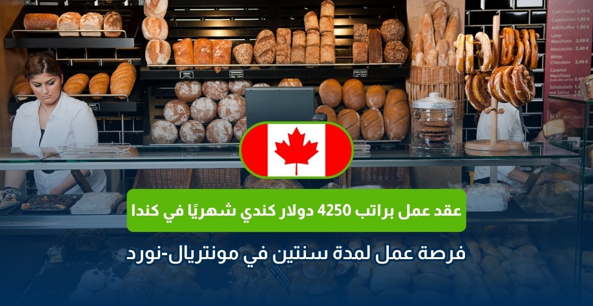 عقد عمل براتب 4250 دولار كندي في كندا