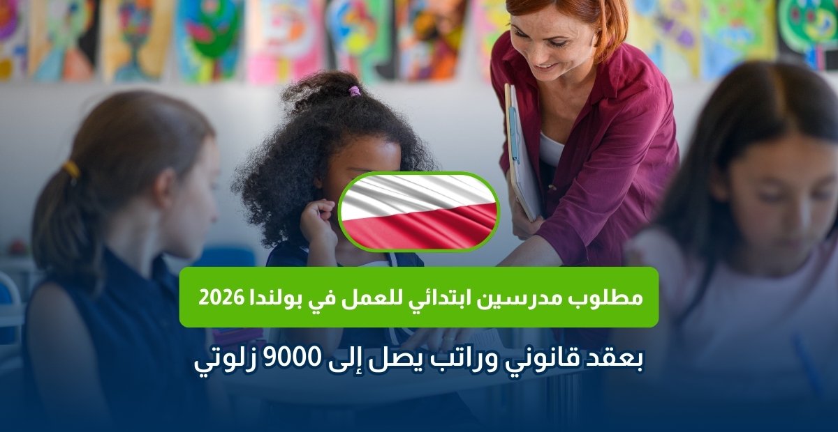 وظائف بولندا 2026