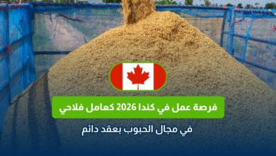 فرصة عمل فلاحية في كندا 2026