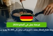 عقد عمل في ألمانيا 2026