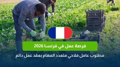 عقد عمل في فرنسا 2026