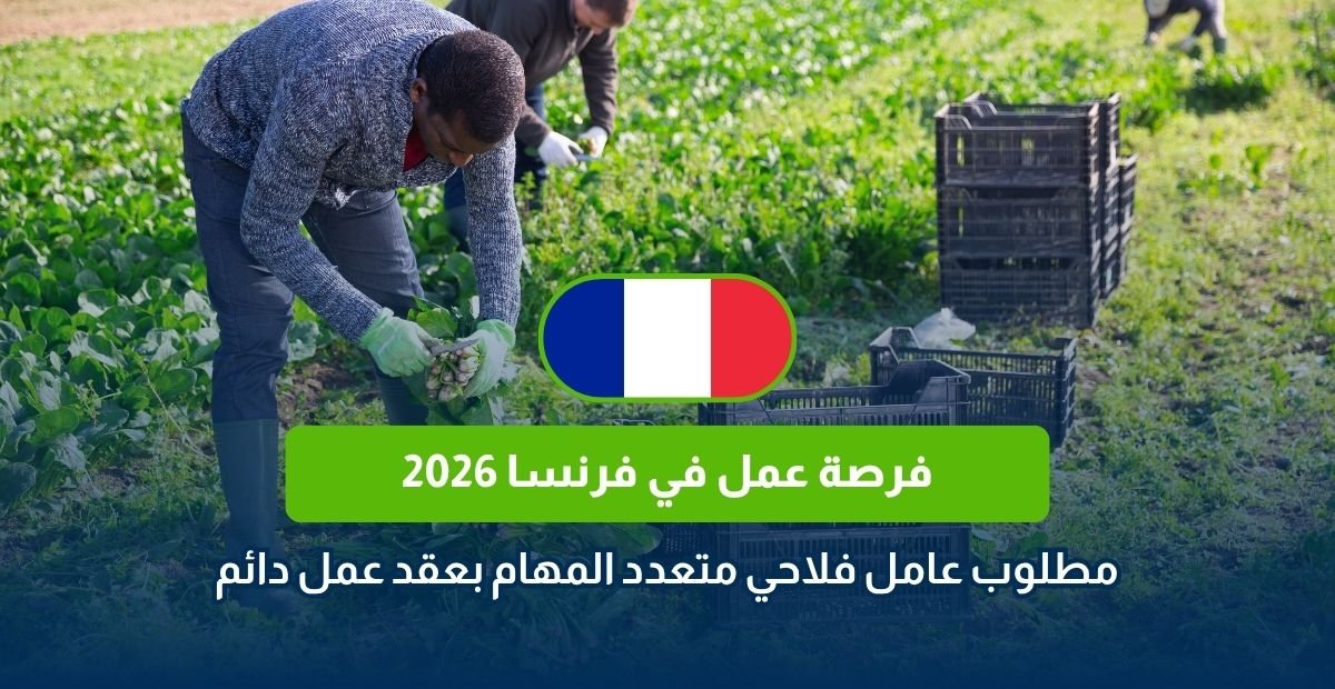 عقد عمل في فرنسا 2026