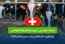 فرصة عمل في سويسرا لتربية المواشي 2026