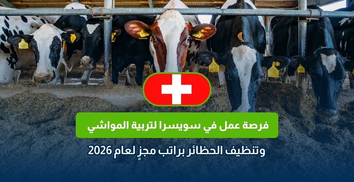 فرصة عمل في سويسرا لتربية المواشي 2026