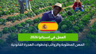 العمل في إسبانيا 2026