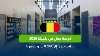 فرصة عمل في بلجيكا 2026