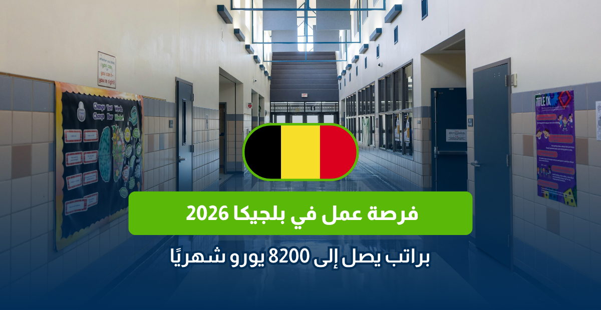 فرصة عمل في بلجيكا 2026