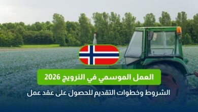 العمل الموسمي في النرويج 2026