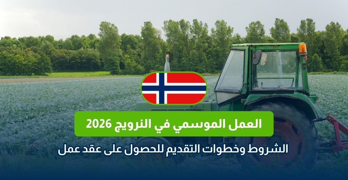 العمل الموسمي في النرويج 2026
