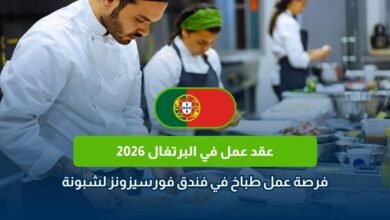 عقد عمل في البرتغال 2026