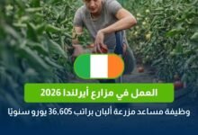 العمل في مزارع أيرلندا 2026