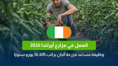 العمل في مزارع أيرلندا 2026
