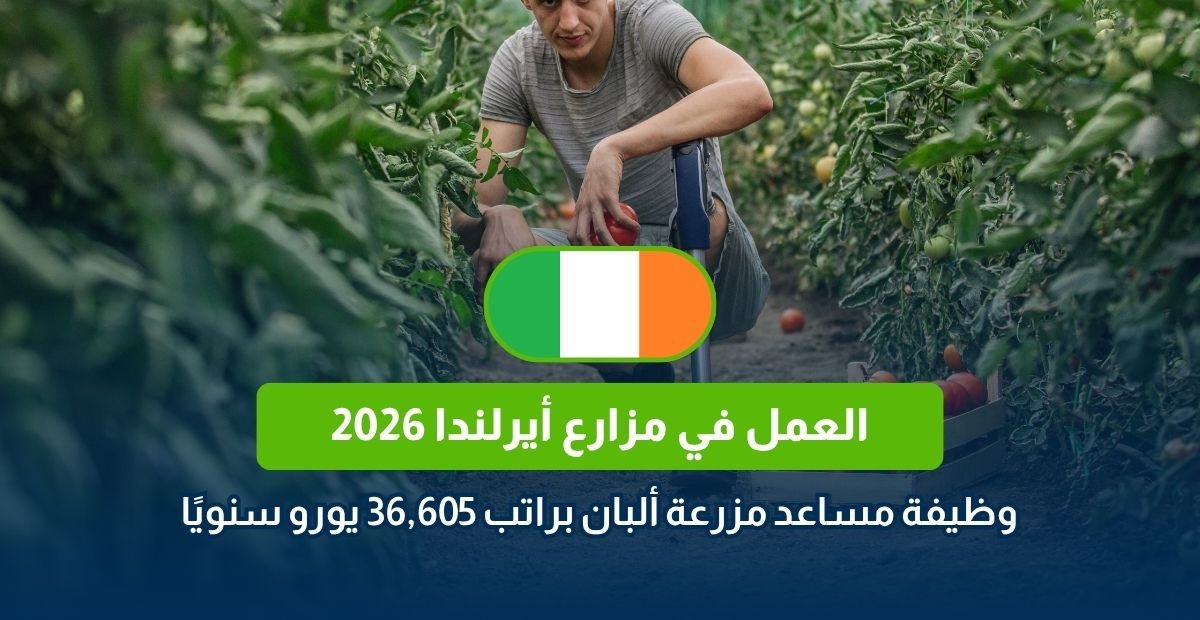 العمل في مزارع أيرلندا 2026