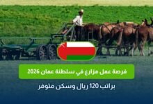وظيفة مزارع في عمان