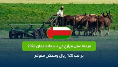 وظيفة مزارع في عمان