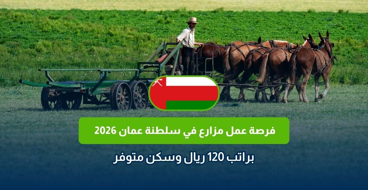 وظيفة مزارع في عمان