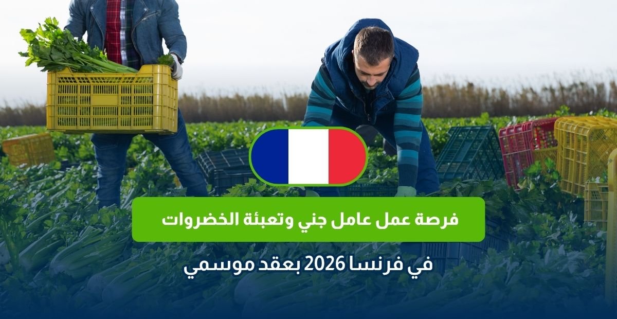 عامل جني وتعبئة الخضروات في فرنسا 2026