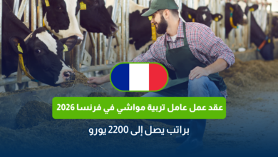 عقد عمل عامل تربية مواشي في فرنسا 2026