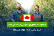 LMIA Canada