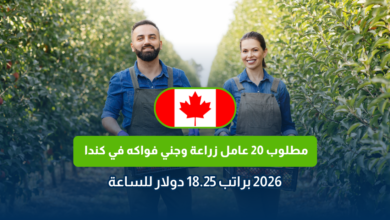 LMIA Canada
