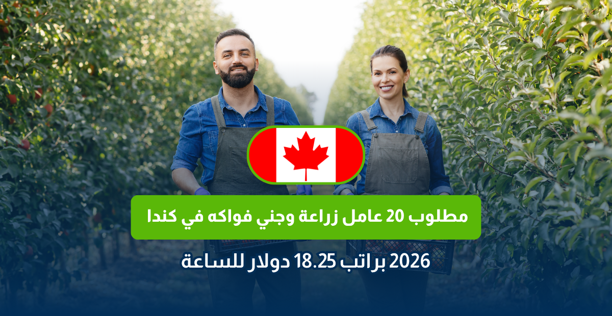 LMIA Canada
